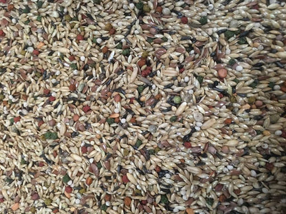 Vaesen – Canary Seed Excellent Opti Mix – No.58 (Without Rape)