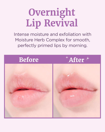 VDL Herbal Lipcerin Lip Gloss Balm (0.5oz) – Bergamot, Mallow Leaf & Sage | Moisturizing, Plumping, Conditioning