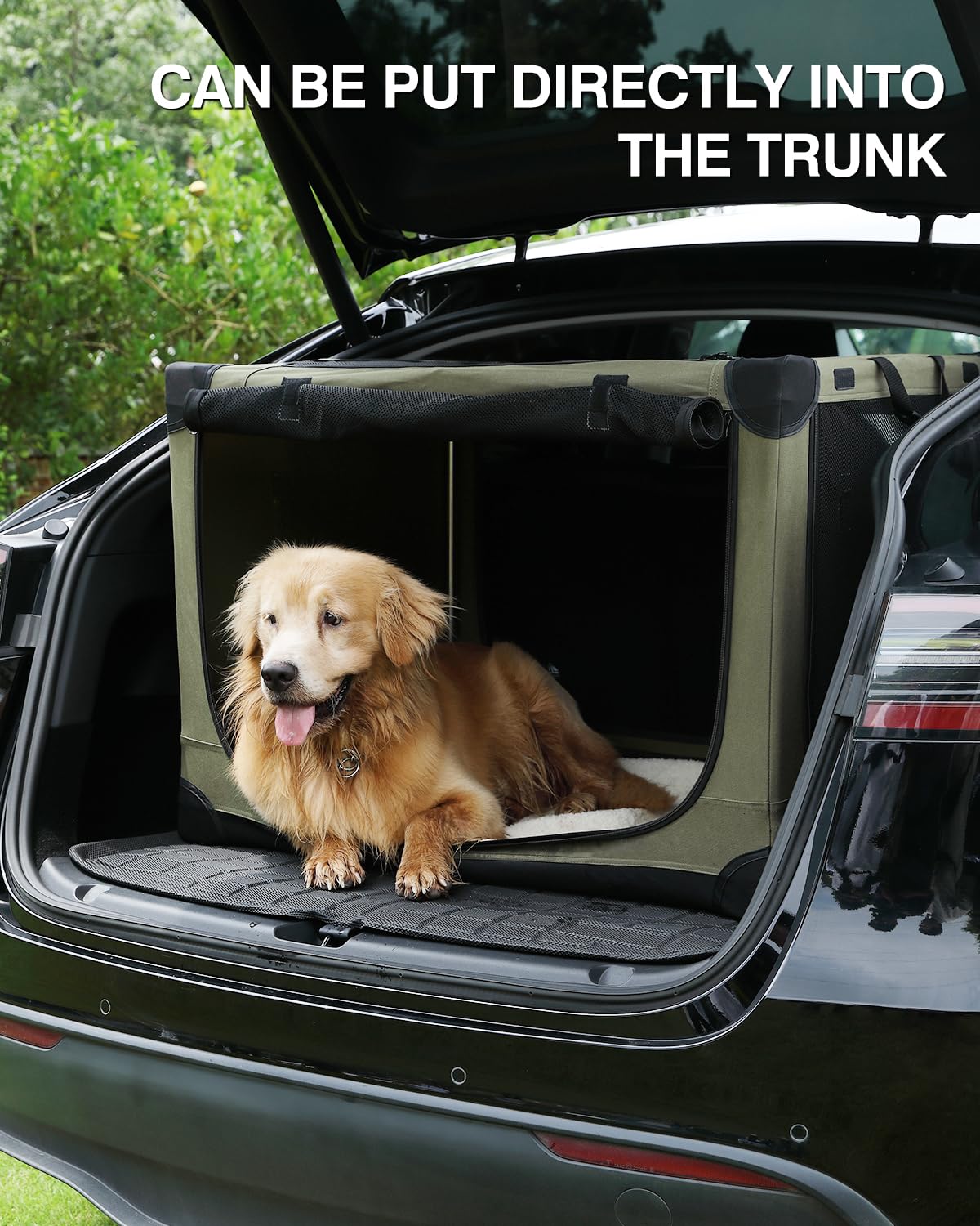 Veraste 33-Inch Collapsible Travel Dog Crate for Medium-Large Dogs | Portable 4-Door Soft Kennel with Mesh Windows