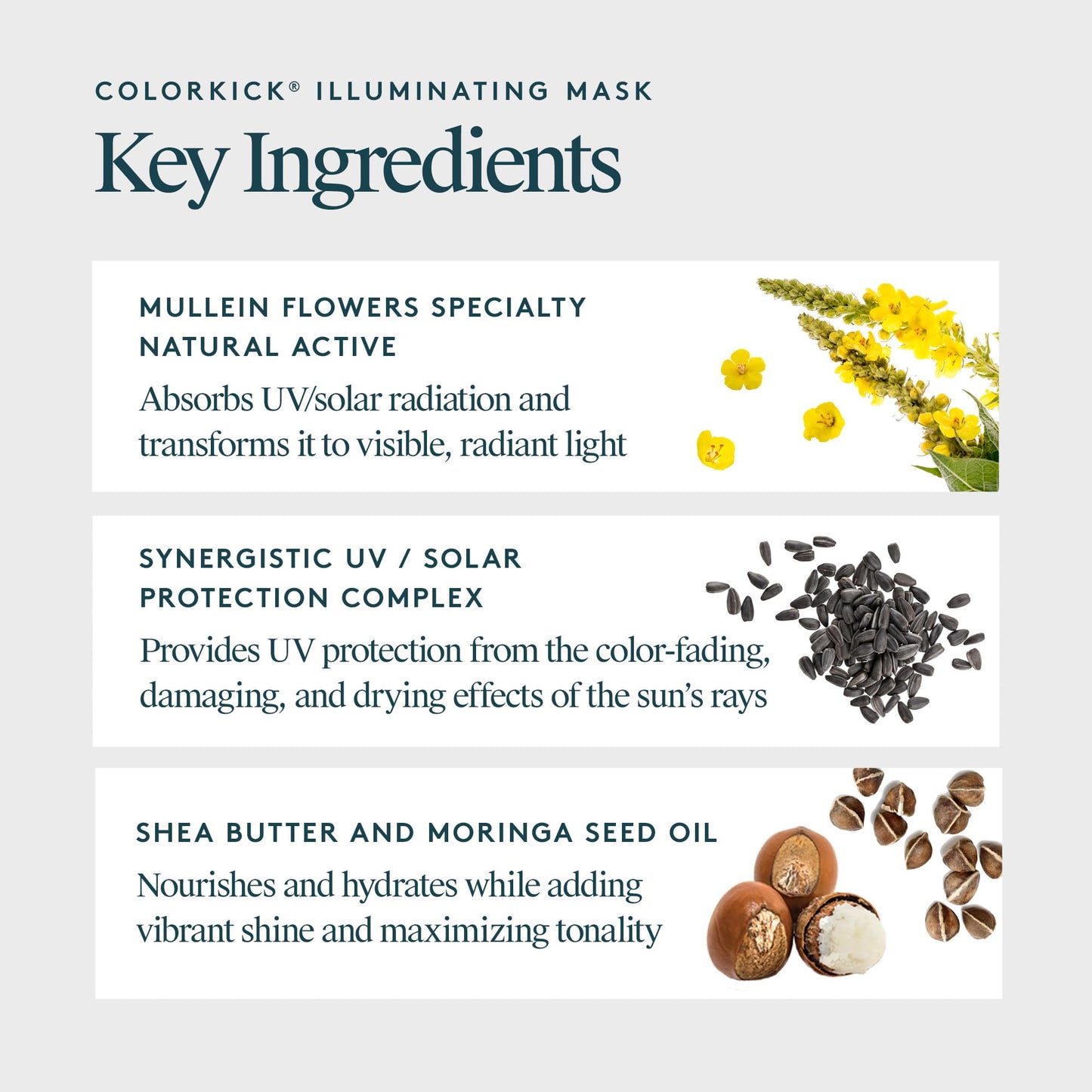 Virtue ColorKick Illuminating Hair Mask | Tones, Nourishes & Preserves Color-Treated Hair