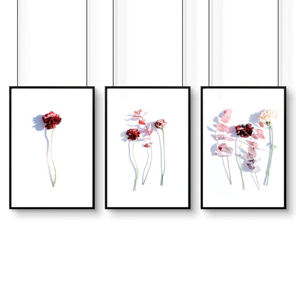 Bathroom wall hanging | set of 3 framed wall art