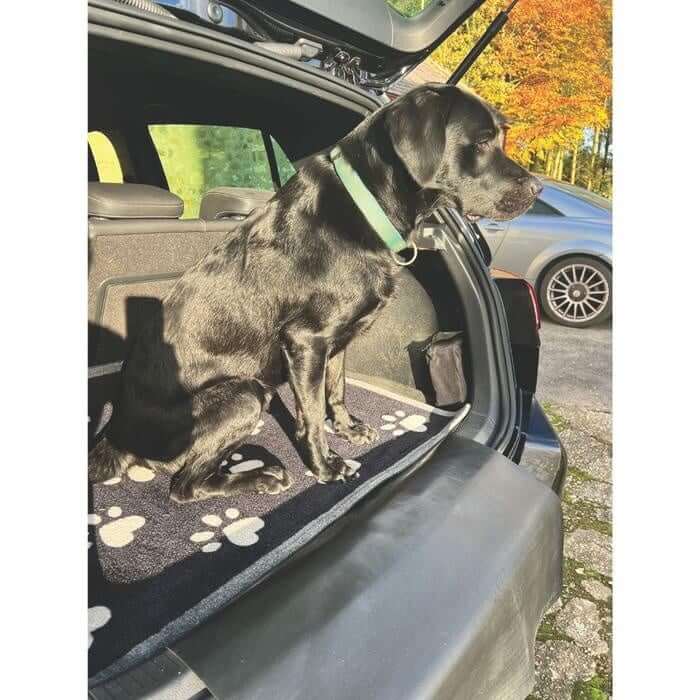 Dog Themed Washable Mat and Runner