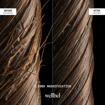 WELLBEL Detox + Restore Duo – Shampoo & Conditioner Set for Scalp Health, Hydration & Frizz Control