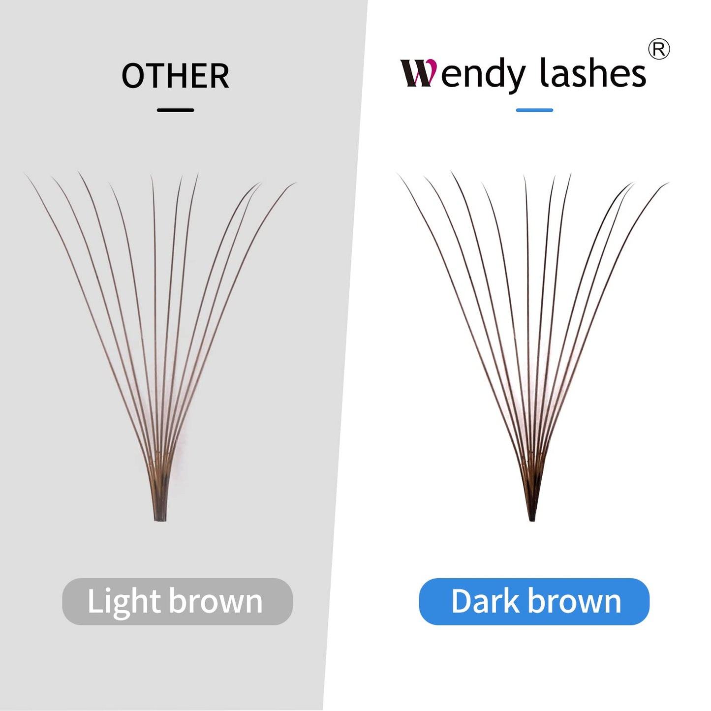 Wendy Lashes Volume 10D Brown Premade Fans 500pcs – 0.07mm, 9-16mm Mixed, C/D Curl
