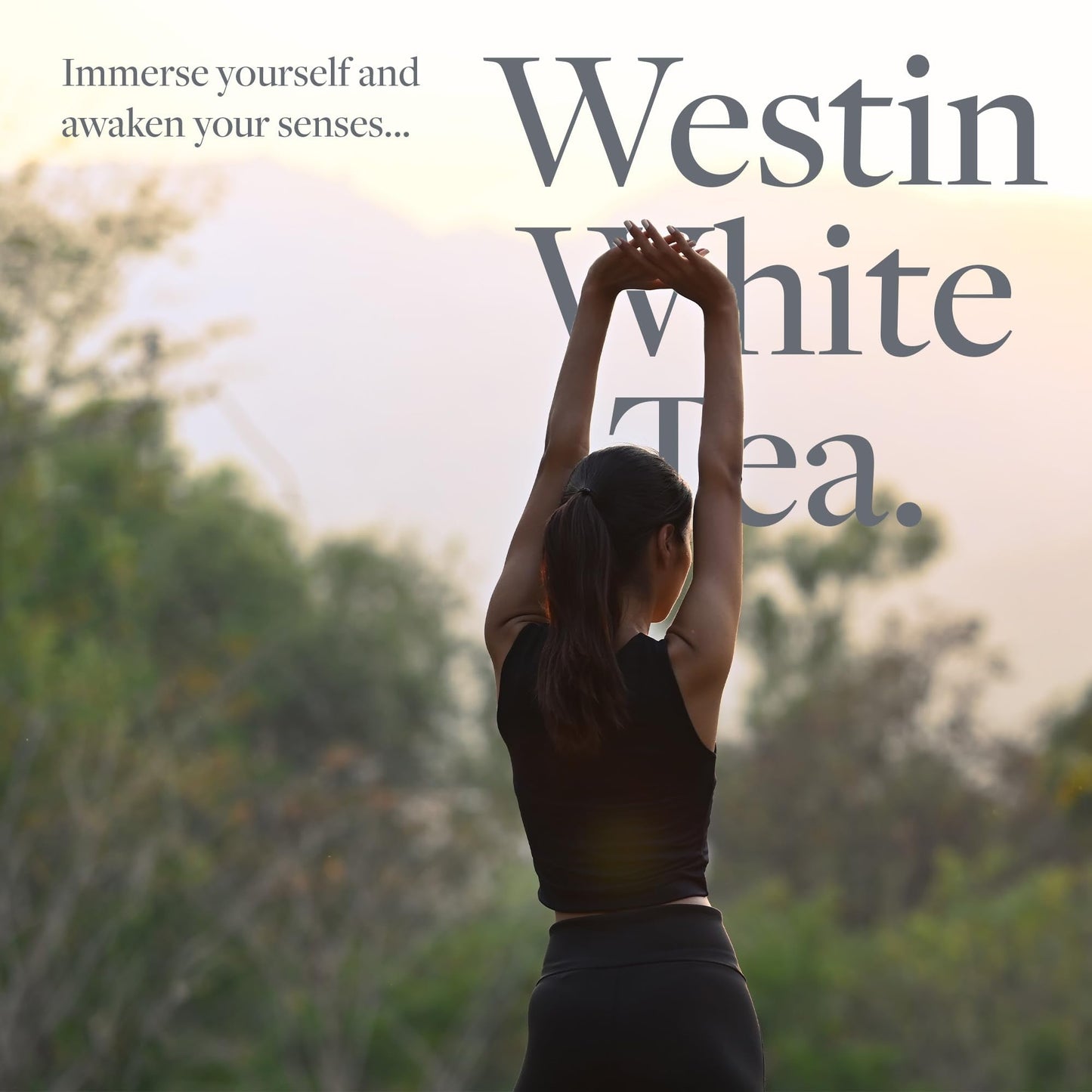 Westin White Tea Aloe Shampoo – Hydrating, Antioxidant Formula for All Hair Types | Signature White Tea Scent