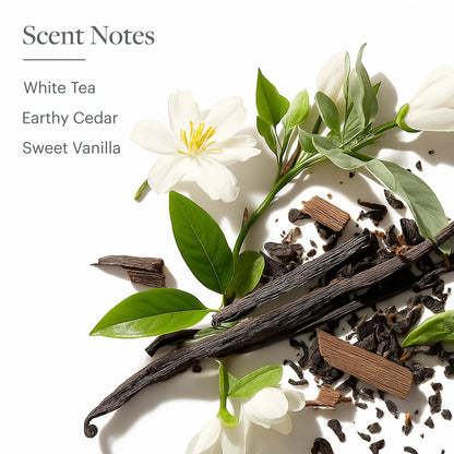 Westin White Tea Aloe Shampoo – Hydrating, Antioxidant Formula for All Hair Types | Signature White Tea Scent