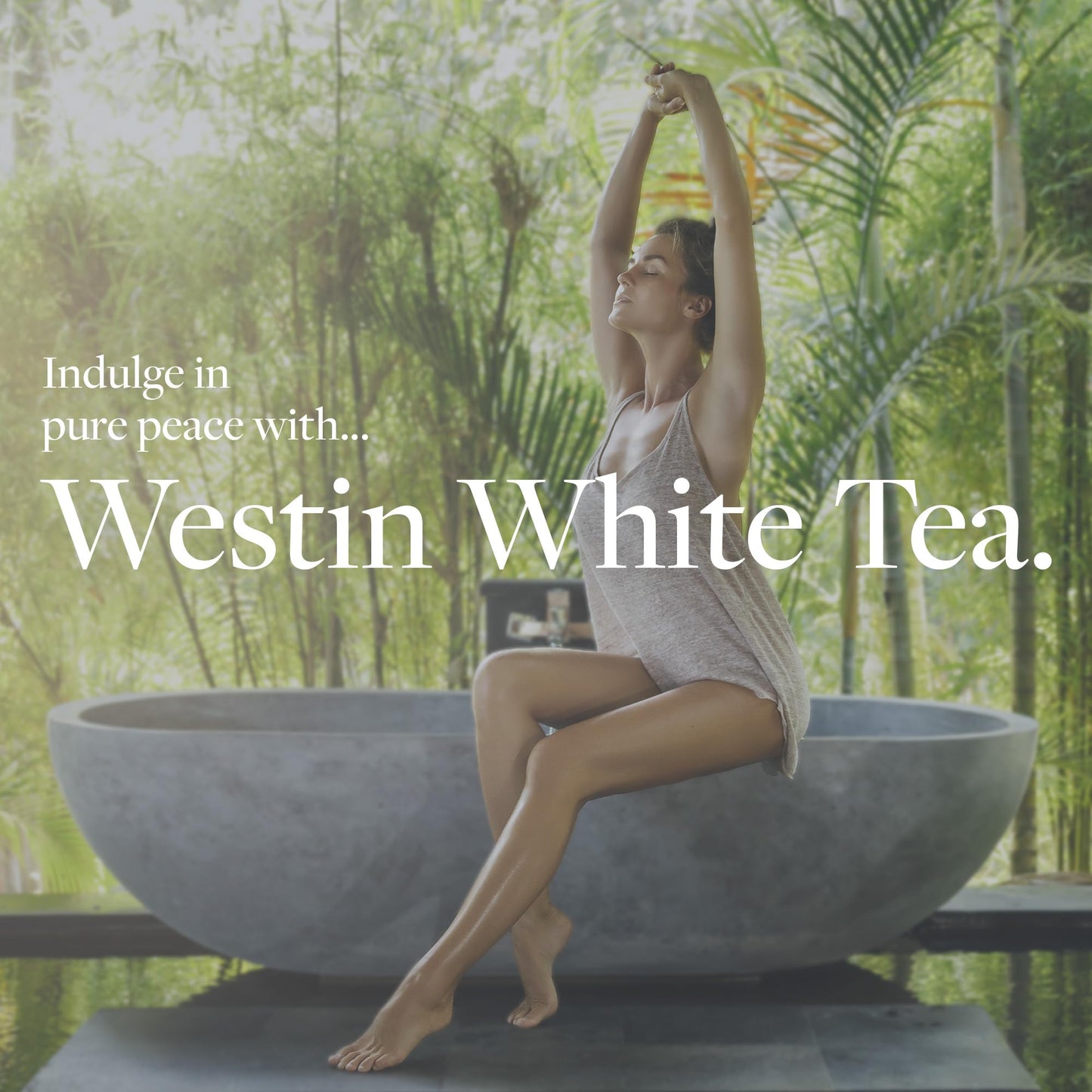 Westin White Tea Aloe Body Lotion | Hotel Spa Hydration, 8 oz Pump