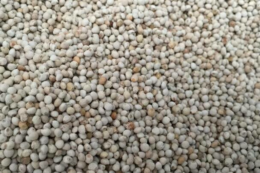 White Perilla