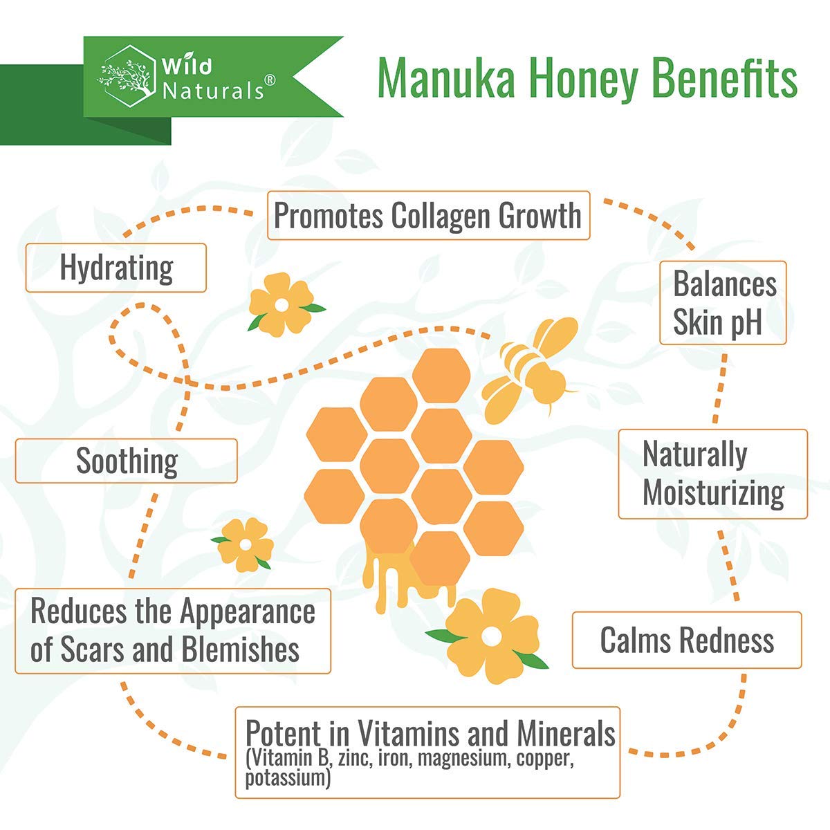 Wild Naturals 100% Pure Aloe Vera Gel with Manuka Honey – Organic Hydration for Face, Hair & Skin