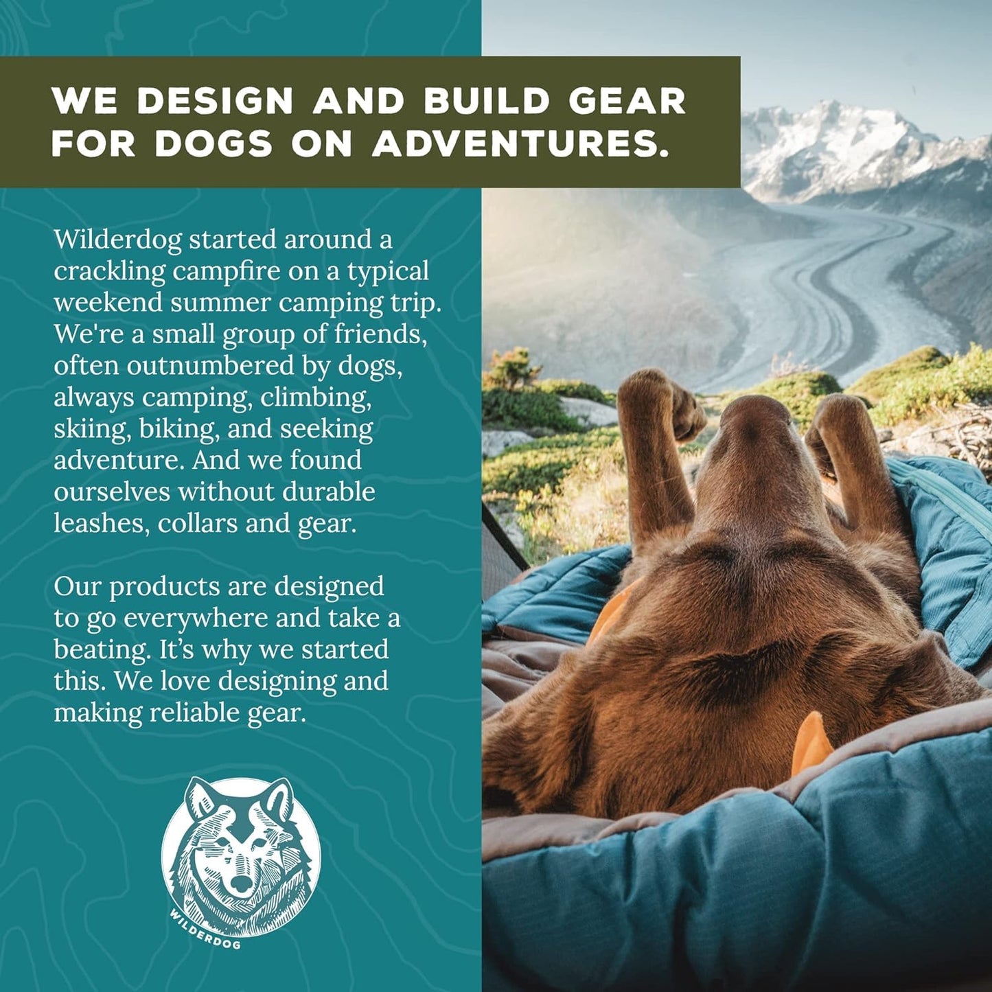 Wilderdog Lightweight Dog Harness with Reflective Straps – Large – Pacific Blue