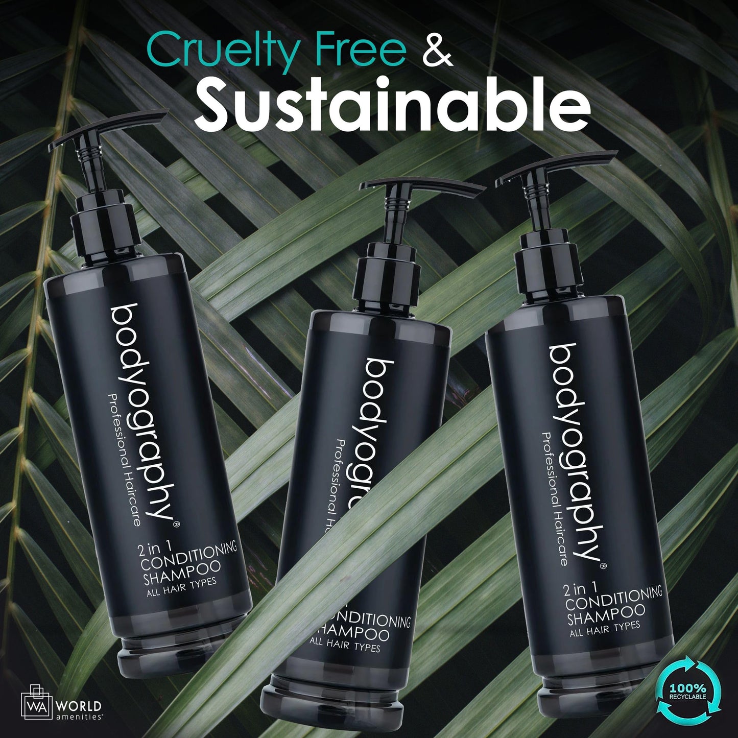 World Amenities Bodyography Pump Bottle 2 in 1 Conditioning Shampoo – All Hair Types