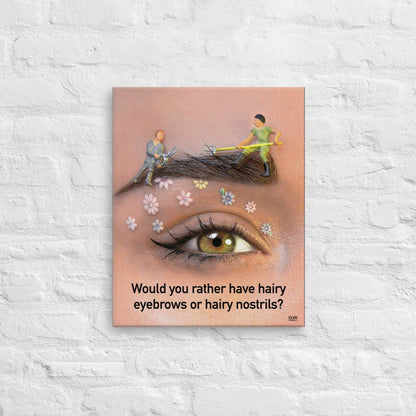 Hairy Eyebrows or Hairy Nostrils - Canvas Print