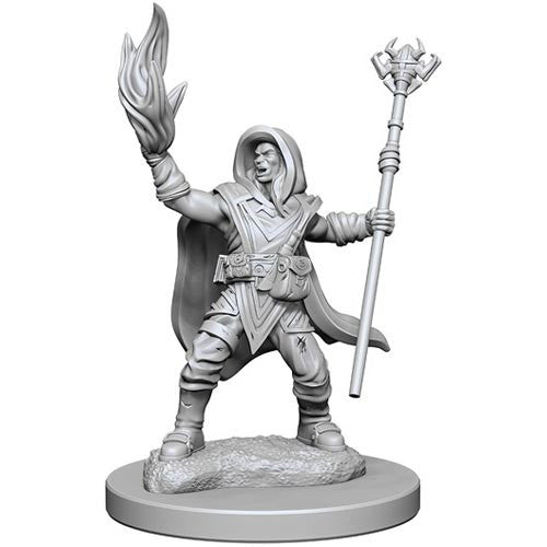 Elf Male Wizard: D&D Nolzur's Marvelous Unpainted Miniatures (W2) 100D&D