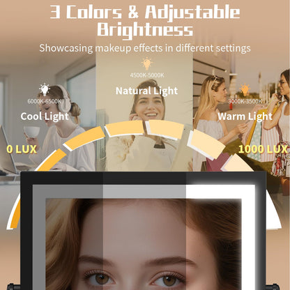 WZRUA Wall Mounted Lighted Vanity Mirror with 1X/10X Magnification - 3 Color Lights & 360° Swing Arm