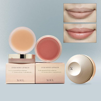 XOUL Ever Moist Volume Lip Balm – Long-Lasting Hydration & Subtle Shine (Shell Blush)