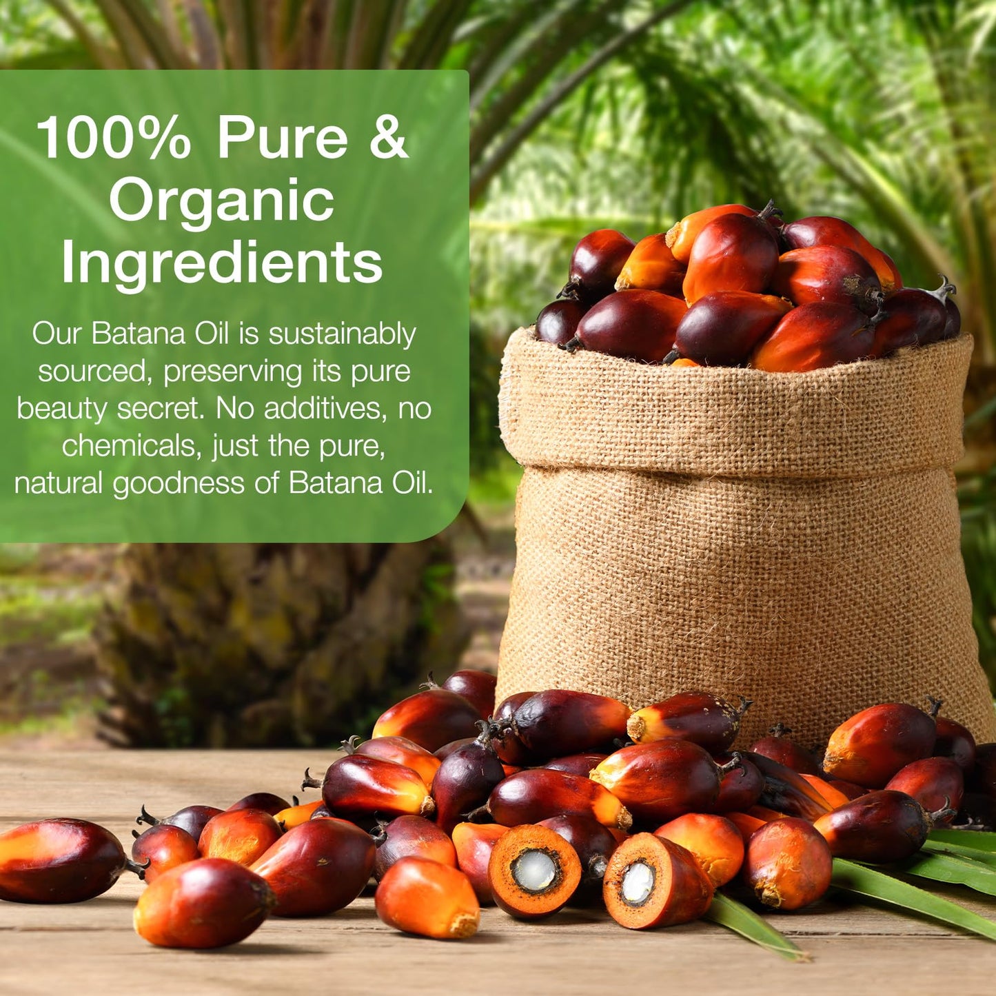 Xsvseie Batana Oil for Hair Growth – Organic Honduran Batana Hair Oil