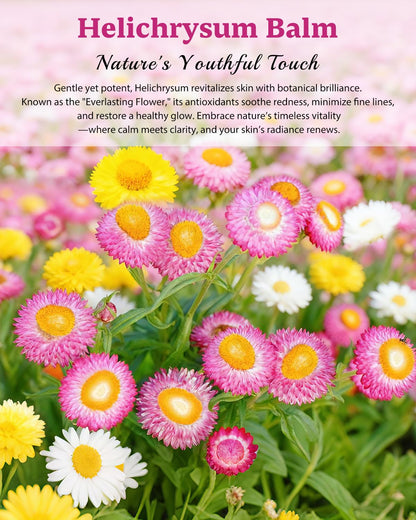 XUEBEIK Helichrysum Balm - Hydrating, Soothing Salve for Delicate Skin