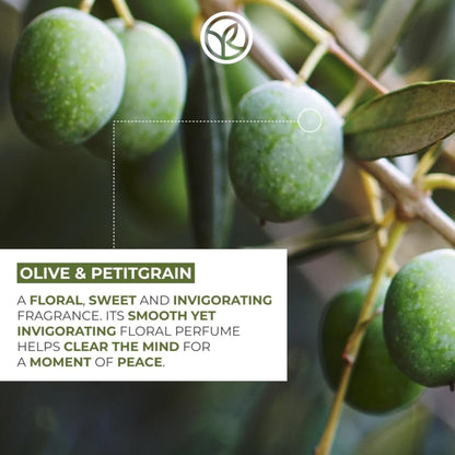Yves Rocher Olive & Petitgrain Hand Cream - 30 ml | Silky Hydration