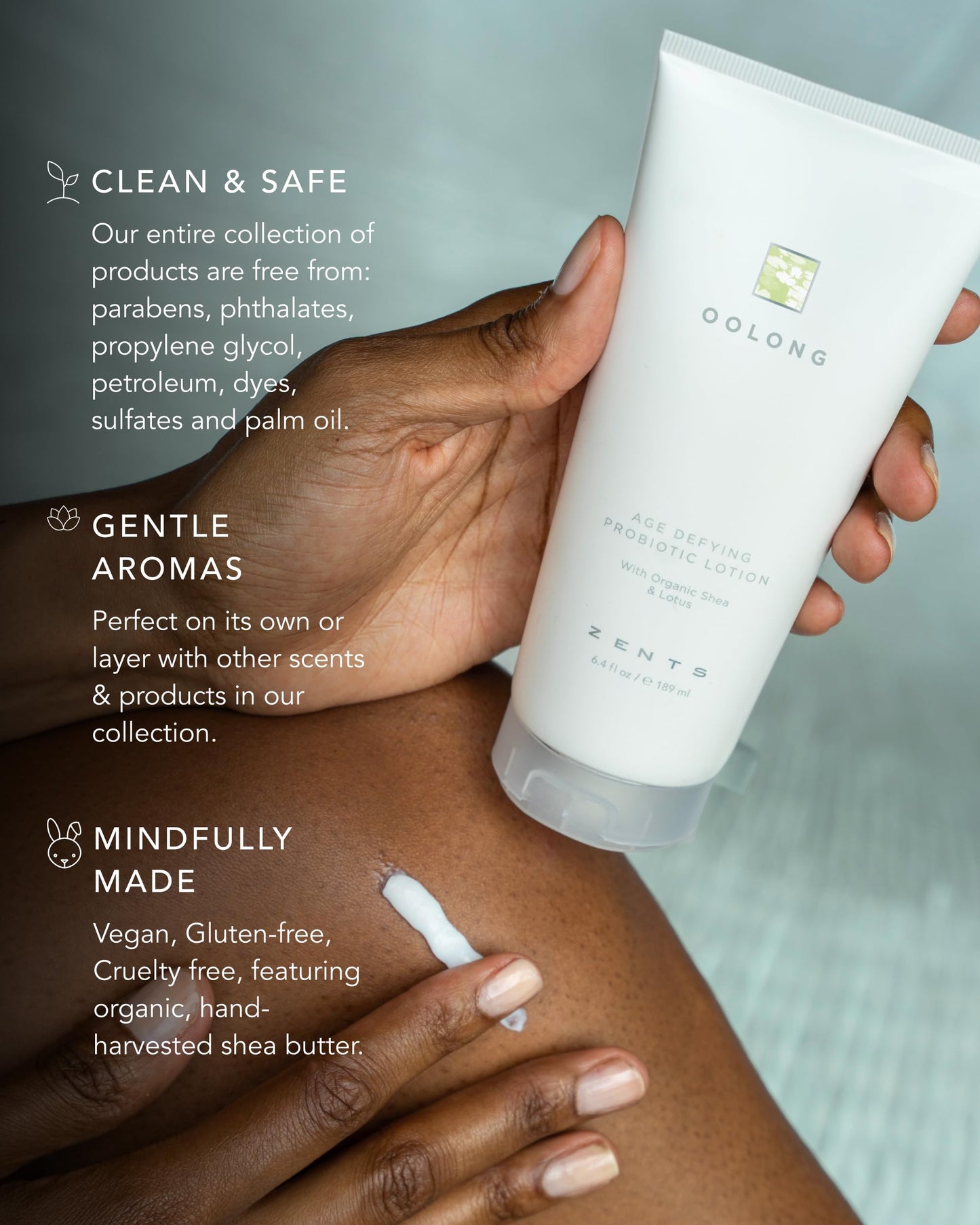 Zents Age-Defying Probiotic Lotion Oolong | Hyaluronic Acid & Organic Shea Butter | 6.4 oz