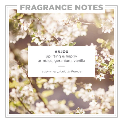 Zents Anjou Eau de Parfum – Unisex Scent with Jasmine, Geranium & Armoise | Clean, Long-Lasting Fragrance 1.69 oz