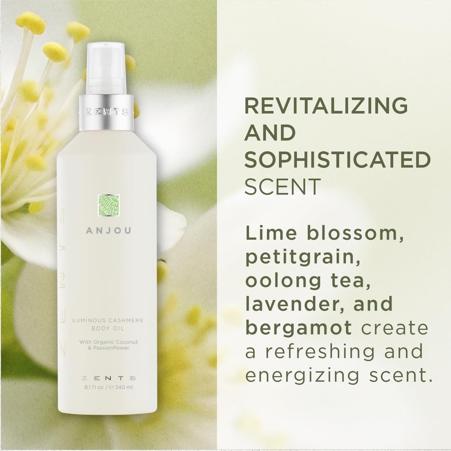 Zents Luminous Cashmere Body Oil with Oolong Fragrance | Vitamin E & Coconut Oil Moisturizer | 8 fl oz