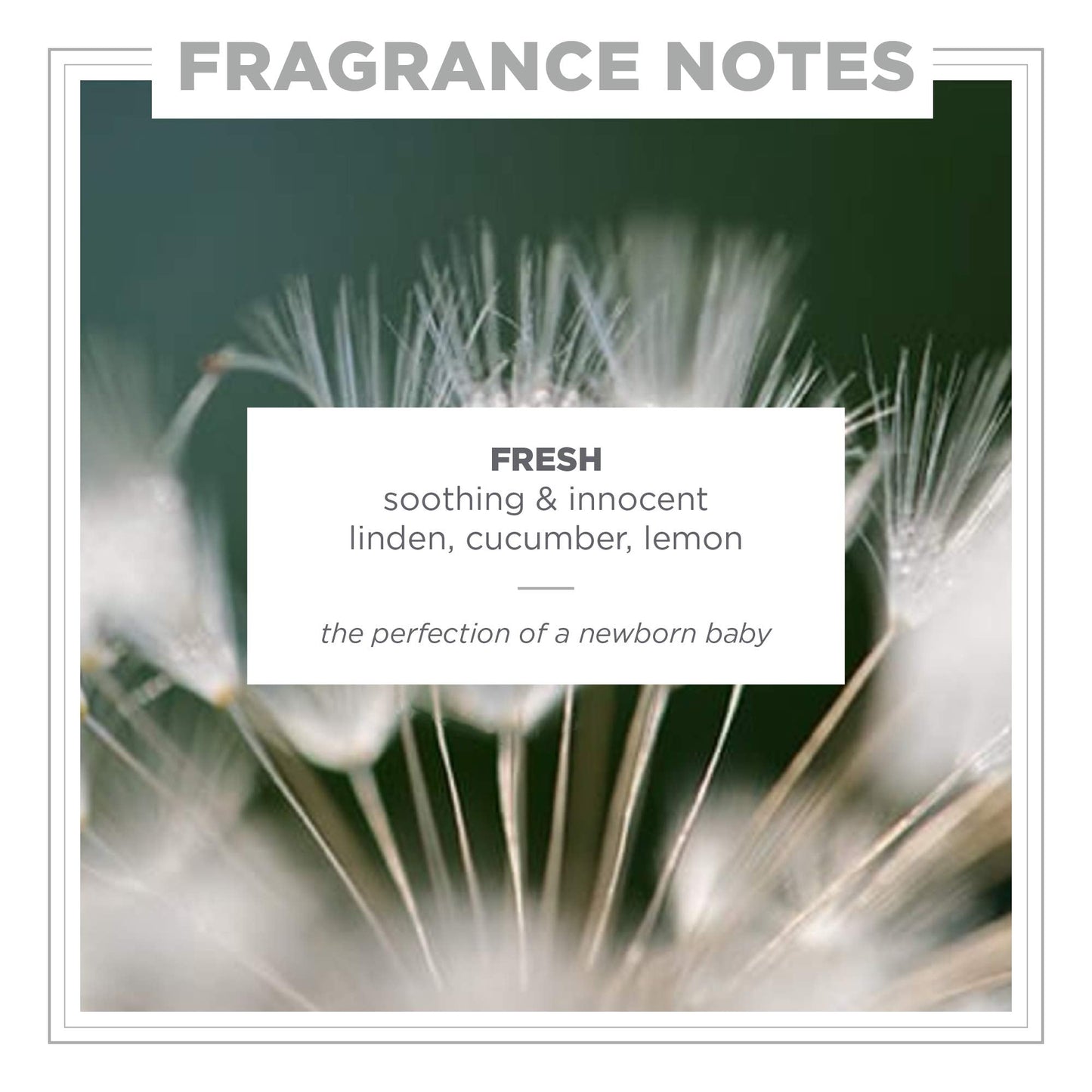 Zents Fresh Eau de Parfum – Unisex Linden Blossom, Cucumber & Lemon | 1.69 oz
