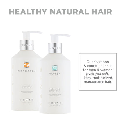 ZENTS Balancing Shampoo & Moisturizing Conditioner Set – Color Safe, Sulfate-Free, 10 fl oz Each