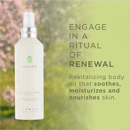 Zents Luminous Cashmere Body Oil with Oolong Fragrance | Vitamin E & Coconut Oil Moisturizer | 8 fl oz