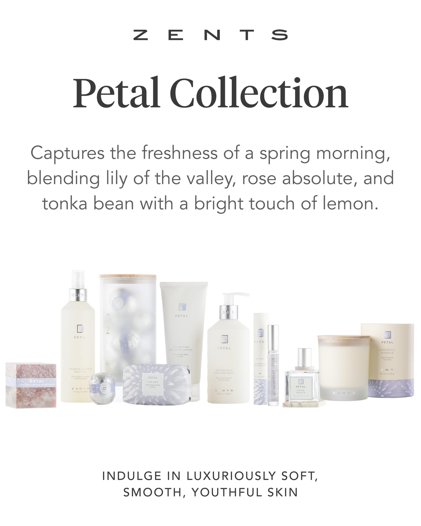 Zents Age-Defying Probiotic Body and Hand Lotion (Petal) | Hyaluronic Acid and Organic Shea Butter | 6.4 fl oz