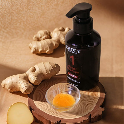 ZOOLY PROFESSIONAL Ginger Shampoo – Anti Hair Loss, Nourishes Roots, Salon-Quality Scalp Care (10.15 fl oz)